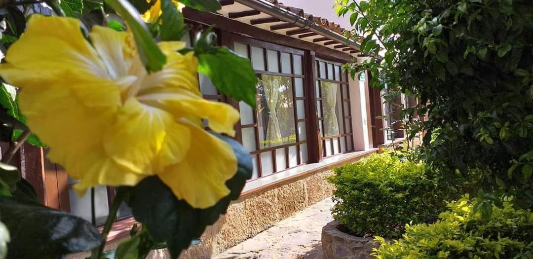 San Fernando De La Villa Вилья-де-Лейва Экстерьер фото